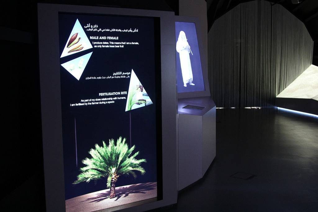 Esibizione immersiva Al Ain Eco Center